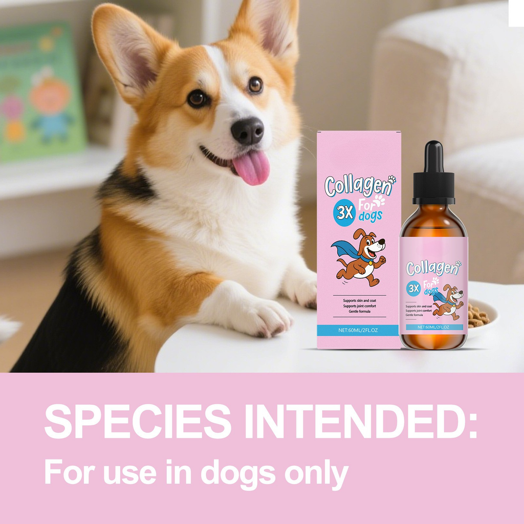 Pawse Collagen Drops