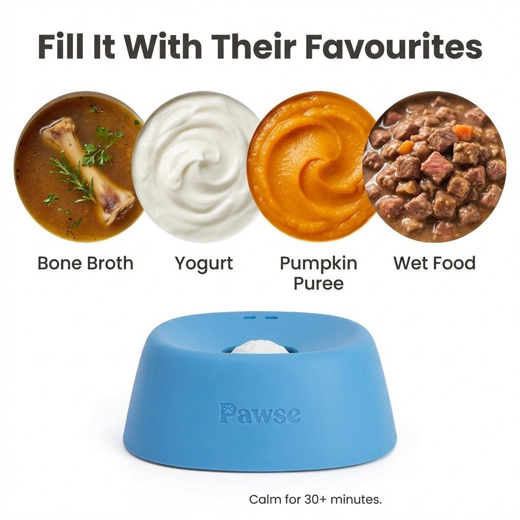 The Pawse Bowl